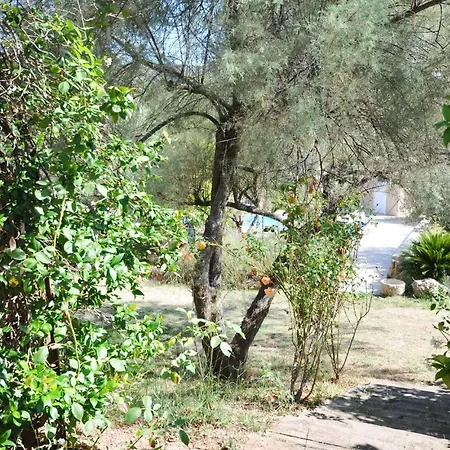 Gorgeous In Puget-sur-argens Apartamento Puget-sur Argens